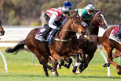 nsw trial replays|warwick farm horse trials today.